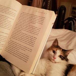 Meet your Posher, Lila